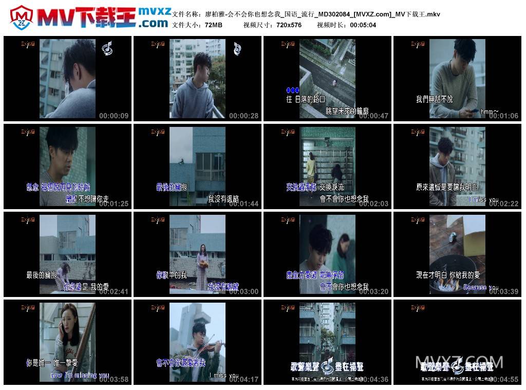 廖柏雅-会不会你也想念我_国语_流行_MD302084